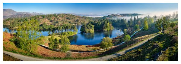 Tarn Hows Serene Morning - Fine Art Print