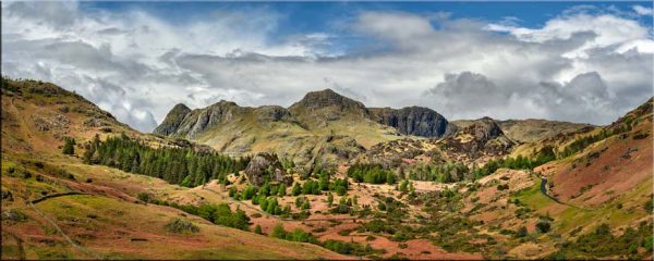 The Langdale Pikes in Spring - Canvas