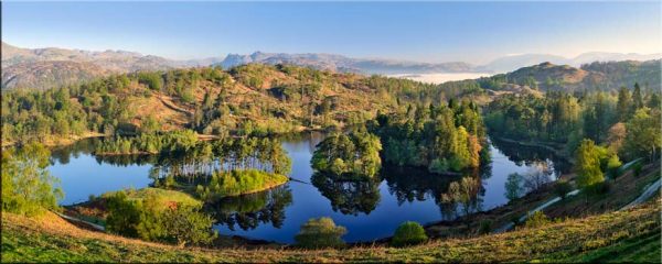 Tarn Hows Tranquility - Canvas