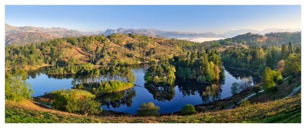 Tarn Hows Tranquility - Print
