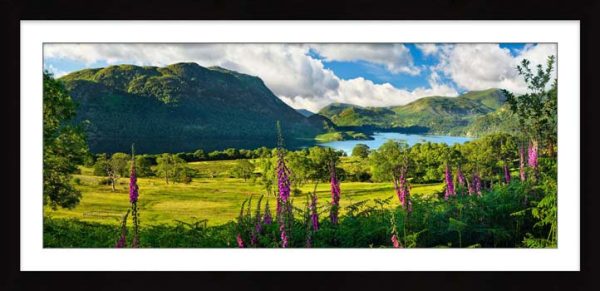 Ullswater Foxgloves and Green Fells framed print with Mount