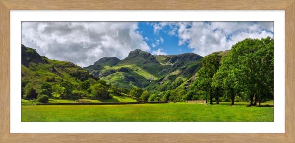 Spring Greens of Great Langdale - Framed