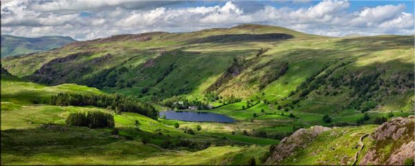 Watendlath Dappled Greens - Canvas