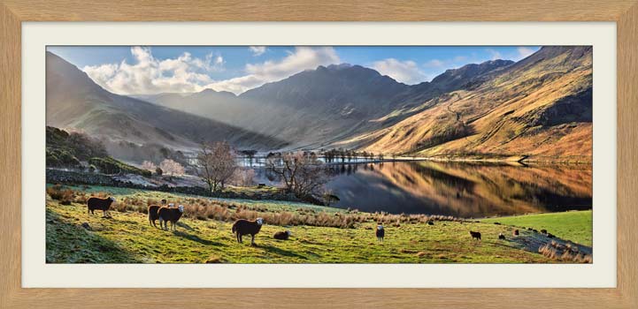 Buttermere Sunbeams and Sheep framed print with Mount
