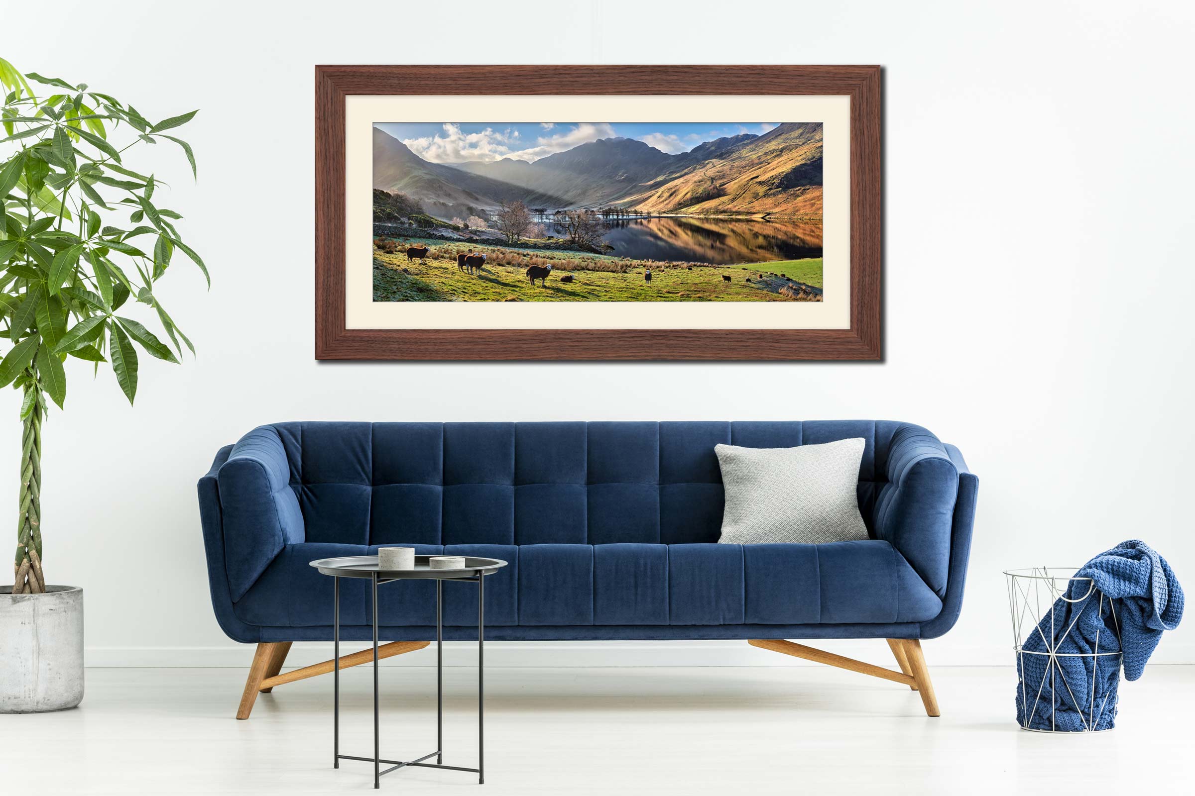 Buttermere Sunbeams and Sheep framed print with mount on Wall