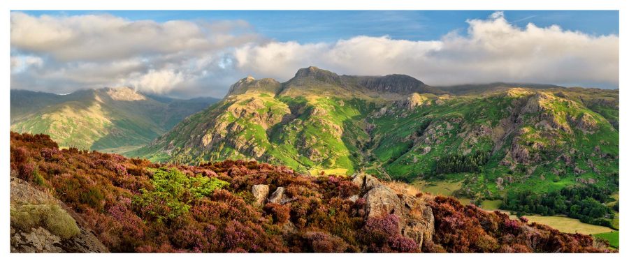 Heather and Pikes - Print