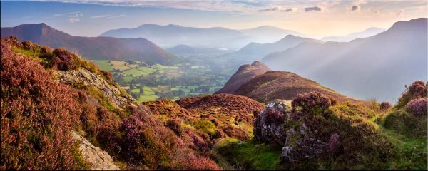 Hindscarth Heather and Hazy Light - Canvas