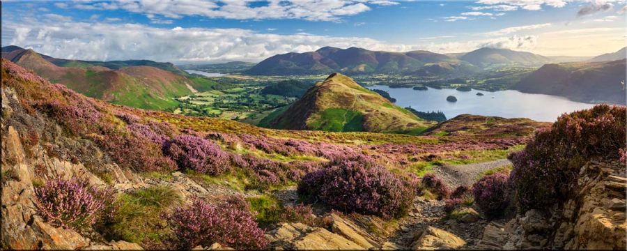 Summer Colours of Maiden Moor - Canvas