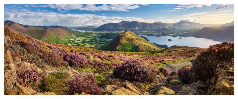 Summer Colours of Maiden Moor - Print