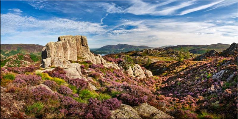 Jopplety How Rocks and Heather - Canvas
