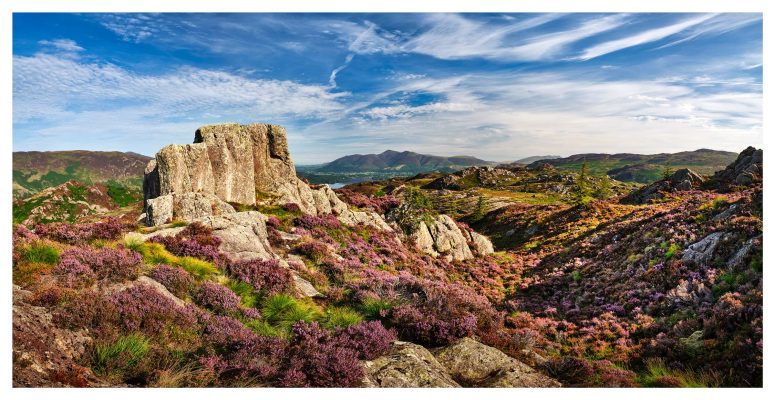 Jopplety How Rocks and Heather - Print