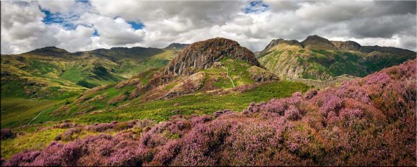 Over the Heather to Side Pike - Canvas