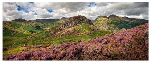 Over the Heather to Side Pike - Fine Art Print