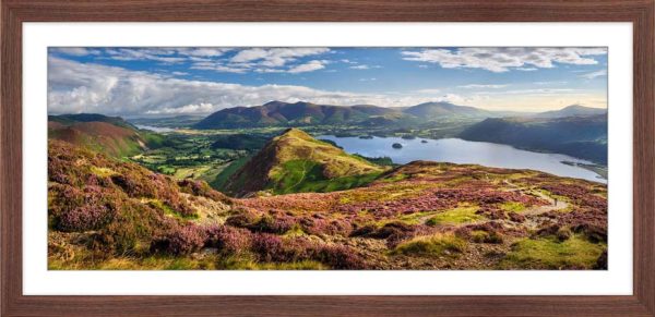 Path Through the Heather framed print with Mount