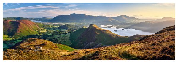 Morning Light on the Cat Bells Ridge - Fine Art Print