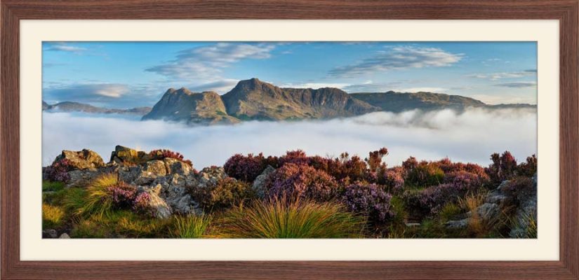 Lingmoor Heather and Inversion - Framed