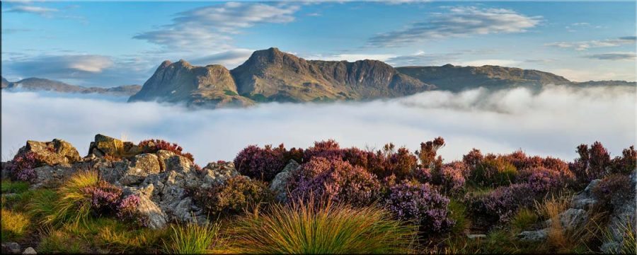 Lingmoor Heather and Inversion - Canvas