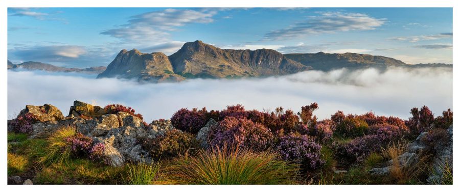 Lingmoor Heather and Inversion - Print