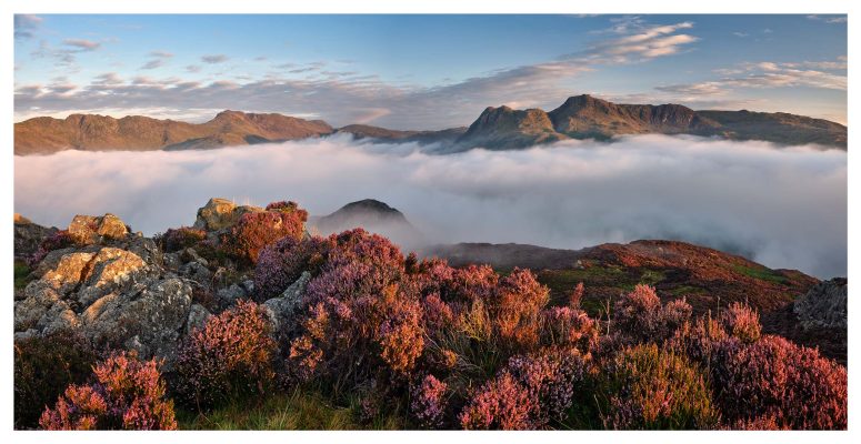 Lingmoor Heather in the Clouds - Print