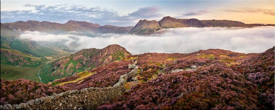 Sunrise Over Heather and Pikes of Langdale - Canvas
