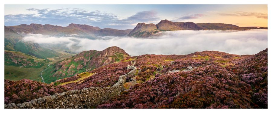 Sunrise Over Heather and Pikes of Langdale - Print