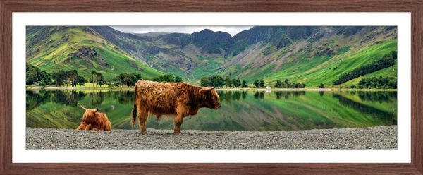 Big Beef Buttermere - Framed print with Mount
