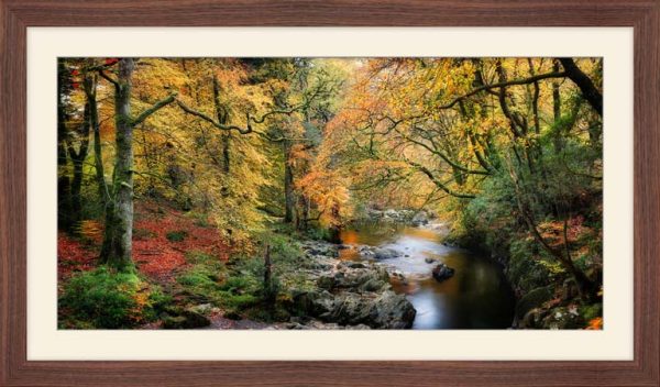 Autumn Woodlands of Eskdale framed print with Mount
