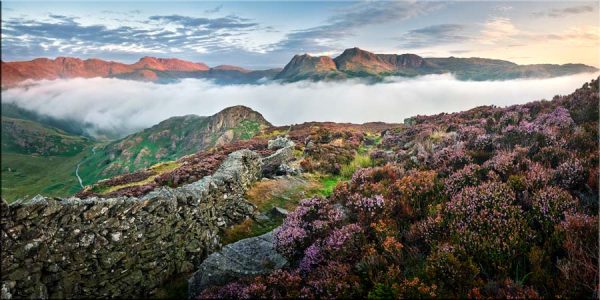 Over the Heather to the Red Peaks - Canvas