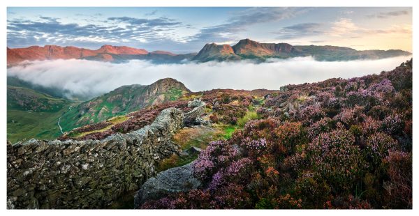 Over the Heather to the Red Peaks - Fine Art Print