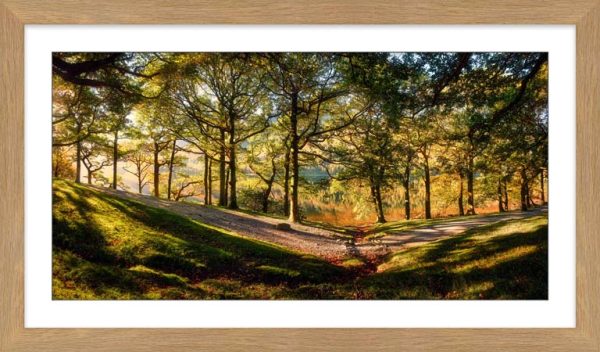 Shades of Autumn at Buttermere framed print with Mount