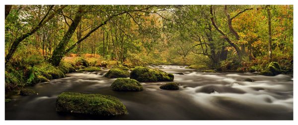 Moss on the Rocks - Fine Art Print